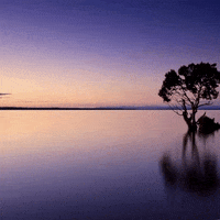 Relaxing Background GIFs - Find & Share on GIPHY