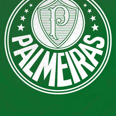 Palmeiras soccer run running futebol GIF