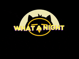 Gute Laune What A Night GIF by MVGstar