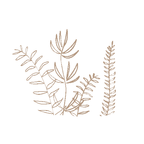 Flower Plant Sticker by Bee original