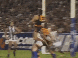 Tony Modra Afl GIF by Adelaide Crows