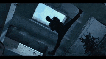 Van Damme GIF
