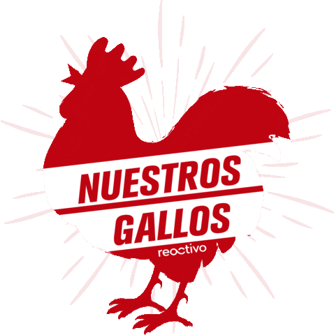 Reactivo Sticker