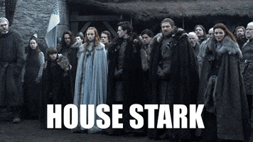 House Stark Game Of Thrones GIF by Death Wish Coffee