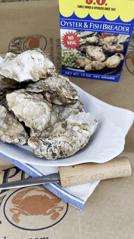 Jo Oyster GIF by The Crab Place