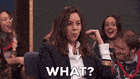 aubrey plaza what GIF by truTV’s The Chris Gethard Show