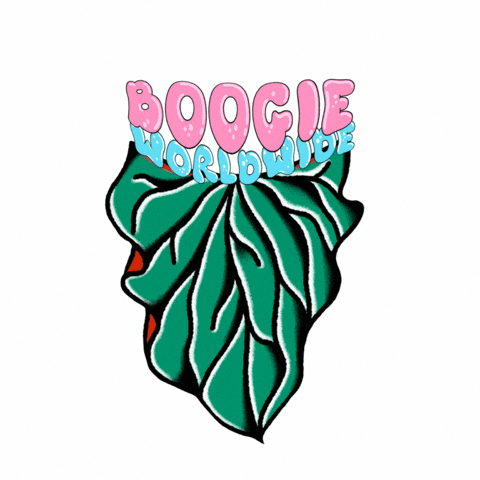 Boogie Anthurium GIF