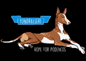Hope For Podencos GIF
