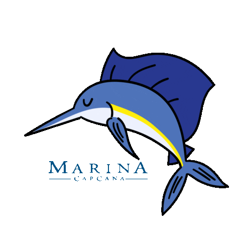 Republica Dominicana Dr Sticker by Cap Cana