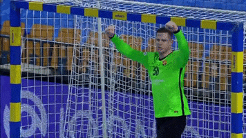 Champions League Sport GIF by EHF
