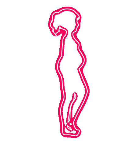 Xô academia Sticker