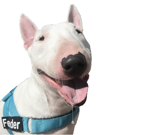 Just Bully English Bull Terrier Cartoon Dog - English Bull Terrier - Sticker
