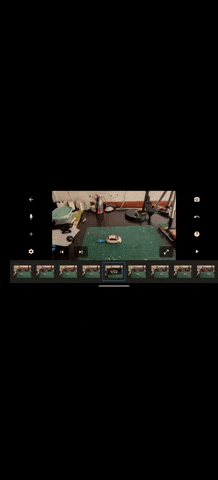 GIF by Diego Farao