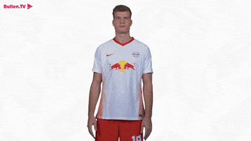 Clap Your Hands Applause GIF by RB Leipzig