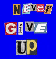 Never Give Up No GIF
