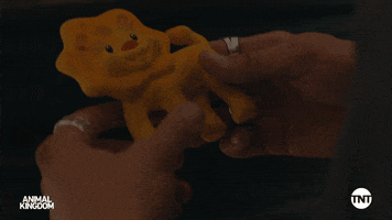 S5 GIF by Animal Kingdom on TNT