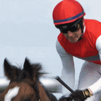 Oisin Murphy Deirdre GIF by World Horse Racing