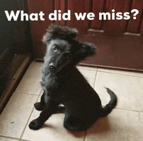 What Did We Miss GIF