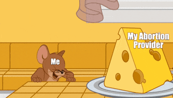 Tom & Jerry gif. Jerry the Mouse jumps for joy on a kitchen counter before running over to a large chunk of Swiss cheese and embracing it fondly, closing his eyes in bliss. Jerry is labeled "Me," and the cheese is labeled, "My abortion provider."