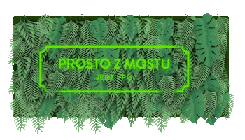 Party Pizza Sticker by Klub Lekko