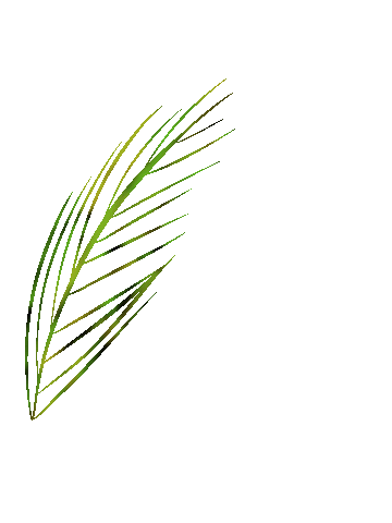 lunicostarica Sticker