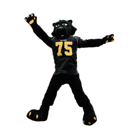 Birmingham-Southern College Office of Admission Sticker