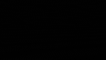 Coen Halmans Productions GIF