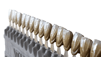 Sticker by Mini Smile Makeover