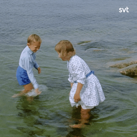 Astrid Lindgren Fight GIF by SVT