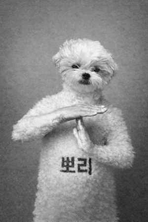 Pporiisdog GIF