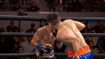 Nonito Donaire Knockout GIF by Premier Boxing Champions