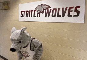 Wolf Pack Cheer GIF by Cardinal Stritch University