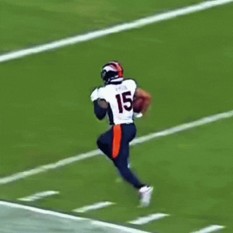 Denver Broncos Touchdown GIF