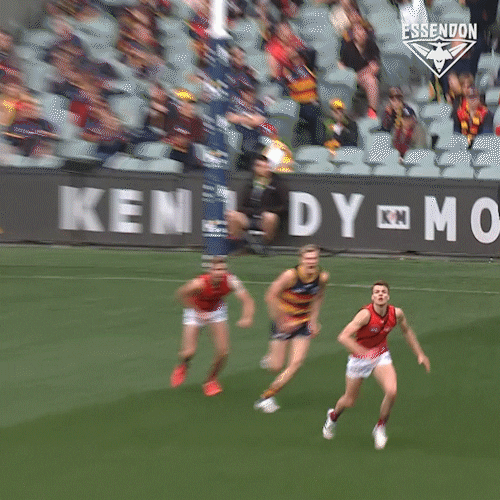 Excited Aussie Rules GIF by Essendon FC