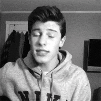 shawn mendes GIF