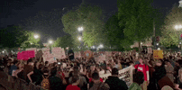 Supreme Court Protest GIF by GIPHY News