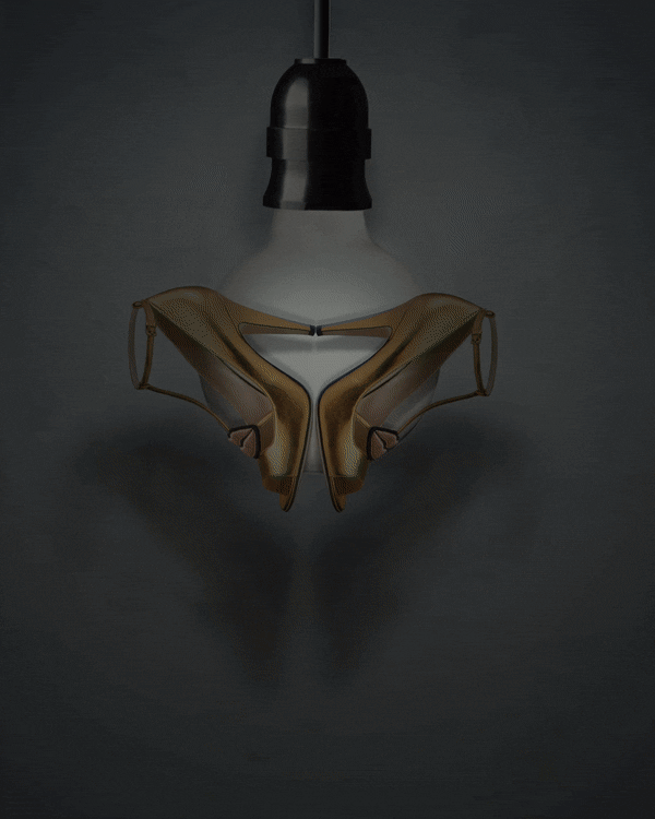 Butterfly Heels GIF by Daan Habets