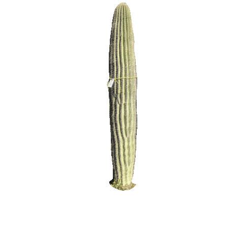 Ocotillo Joe LLC Sticker