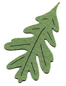 Autumn Leaf Sticker