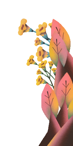 Festival Teresina Sticker by festivalgirasol