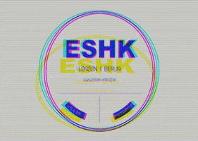 ESHK hairsalon friseur recordstore eshk GIF