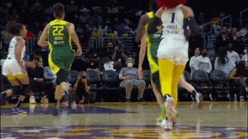 Los Angeles Sparks Block GIF by The Official Page of the Los Angeles Sparks
