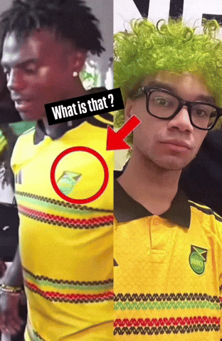 Jamaica Who Is He GIF