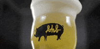 GIF by Black Hog Brewing