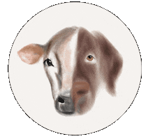 Dog Go Vegan Sticker