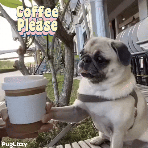 Sleepy Good Morning GIF