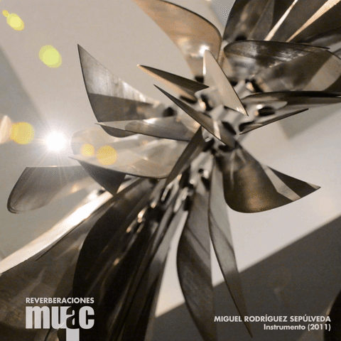 diegofigueroa-31a3  GIF