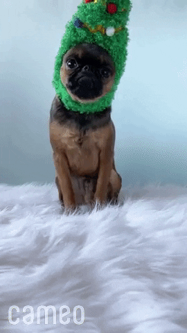 Merry Christmas Dog GIF by Cameo