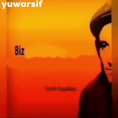Biz Ibrahim GIF