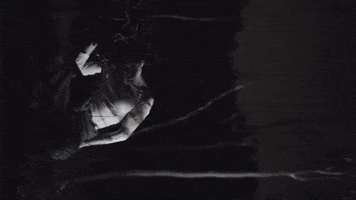 Bleeding Moses GIF